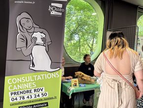 Agrandir l'image, .JPEG 4,4 Mo (fenêtre modale)