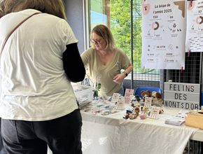 Agrandir l'image, .JPEG 3,0 Mo (fenêtre modale)