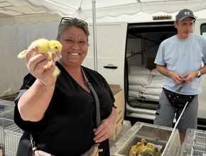 Agrandir l'image, .JPEG 2,5 Mo (fenêtre modale)