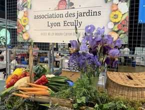 Agrandir l'image, .JPEG 4,2 Mo (fenêtre modale)