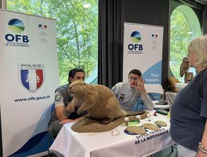 Agrandir l'image, .JPEG 485,7 Ko (fenêtre modale)