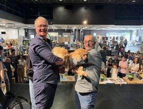 Agrandir l'image, .JPEG 3,5 Mo (fenêtre modale)