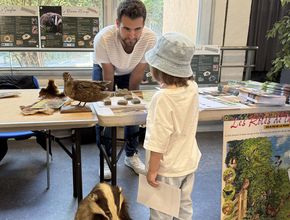 Agrandir l'image, .JPEG 4,3 Mo (fenêtre modale)