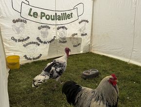 Agrandir l'image, .JPEG 665,9 Ko (fenêtre modale)