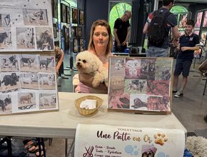 Agrandir l'image, .JPEG 3,2 Mo (fenêtre modale)