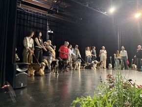 Agrandir l'image, .JPEG 4,3 Mo (fenêtre modale)