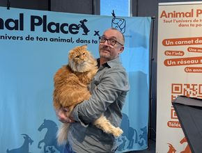 Agrandir l'image, .JPEG 3,2 Mo (fenêtre modale)